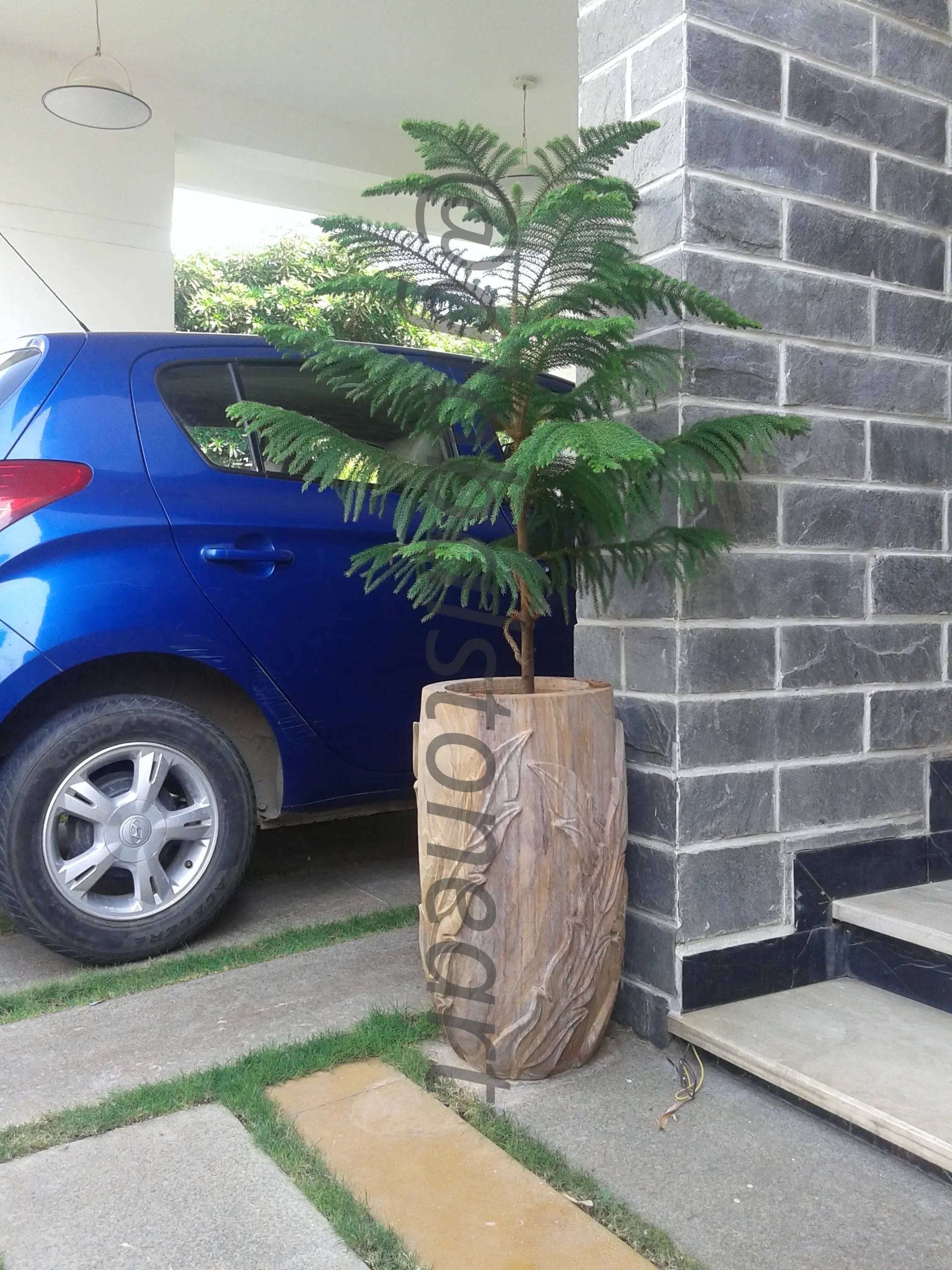 Natural-Grain Sandstone Tall Drum Planter